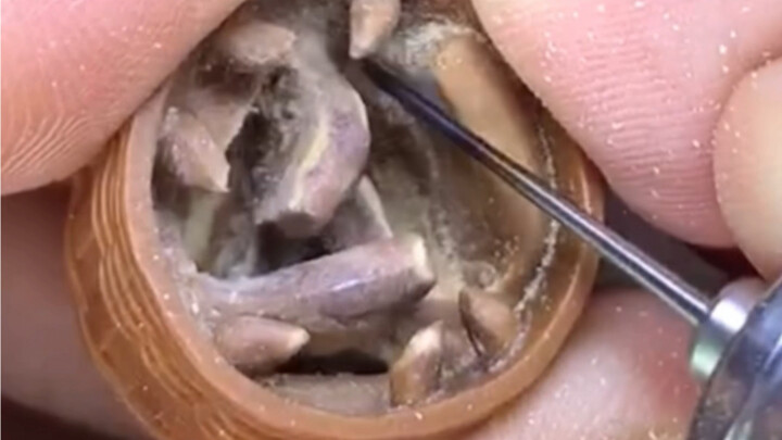 Terkejut sampai akhir video