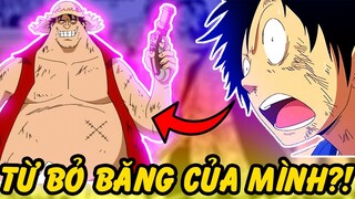 Nếu Luffy Từ Bỏ Băng Mũ Rơm?! | 10 Thuyền Trưởng Rời Bỏ Băng Hải Tặc Của Mình Trong One Piece