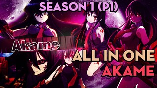 ALL IN ONE "Sát thủ Akame" | 1 Season (P1) | AL Anime