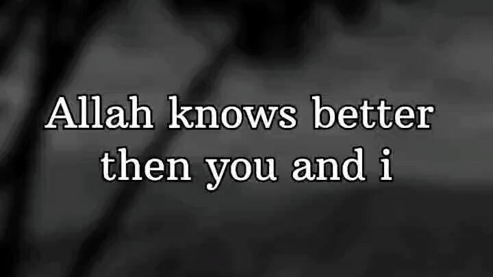 Trust Allah And Never Stop Asking Inshallah One Day You Can Be The Happiest Person ❤️