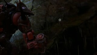 What Did I Just See?