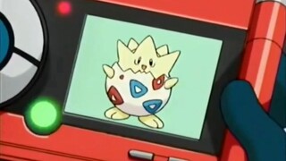 Pokémon 丨 The egg that had been held in his hand chose to evolve to protect his companions and left 