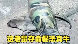 أسلوب عصا الفأر القاتل هذا حقًا رائع!