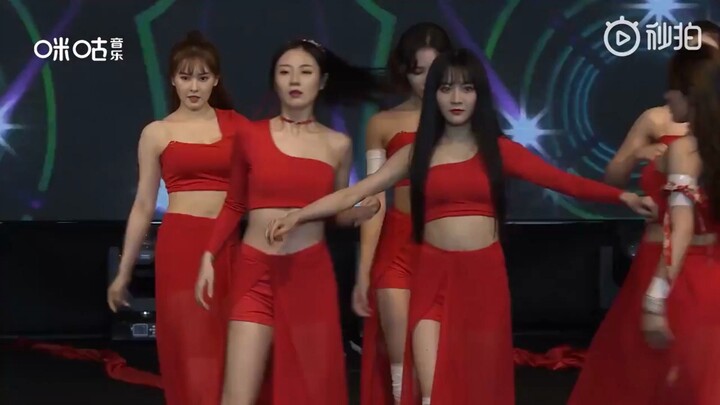 【Petting Fluff】Built Momo three years ago, still building Momo three years later—raising a young gir