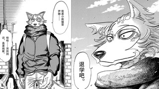 雷格西，17岁，高中生，是一只小熊猫（确信）【BEASTARS/动物狂想曲#3】