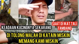 Aatagfirullah Udah Di Tolong Kucingnya Malah Kami Di Maki-Maki Di Katain Miskin..!