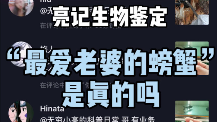 抖音大火的最爱老婆蟹是真的吗？