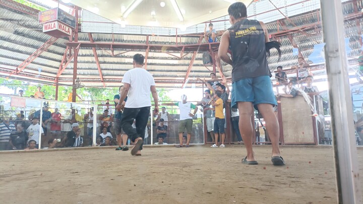 Rubble hatch 2 wins at Aya cockpit arena 2x winner 🔥