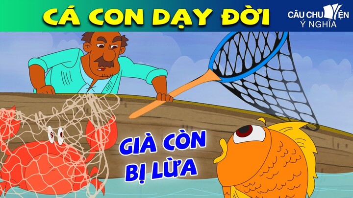 CÁ CON DẠY ĐỜI | Phim Hoạt Hình Hay Nhất - Truyện Cổ Tích | QUÀ TẶNG CUỘC SỐNG