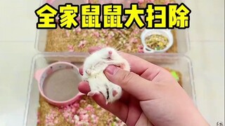 鼠鼠竟然喜欢猫和老鼠哈哈哈！今天给全家鼠鼠打扫卫生！
