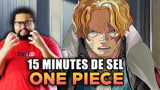 One Piece 1083 - 15 minutes de SEL