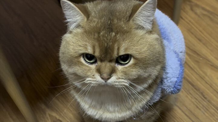 Hiểu được tiếng vỗ tay