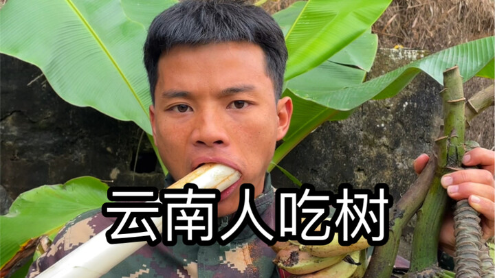 Pisang liar