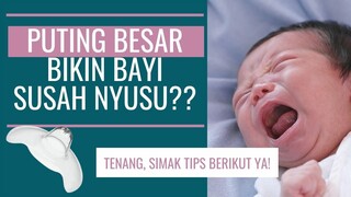 SULIT MENYUSUI KARENA PUTING BESAR?