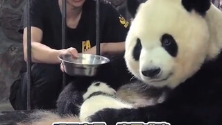 Cheng Kung University: What I brought wasn't a baby, but a meal card~