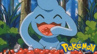 Pokémon Tập 257: Sohnano!? Huy Hiệu Nhà Thi Đấu Và Sonansu!! (Lồng Tiếng)