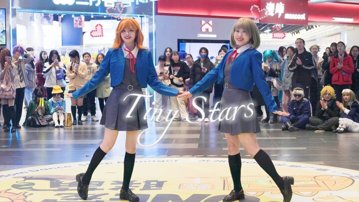 A Wedding Ceremony Watched by Hundreds! The 520 Special That Ignited Love’s Spark ♥ Tiny Stars