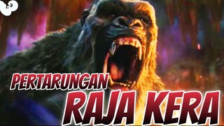 Pertarungan raja kera