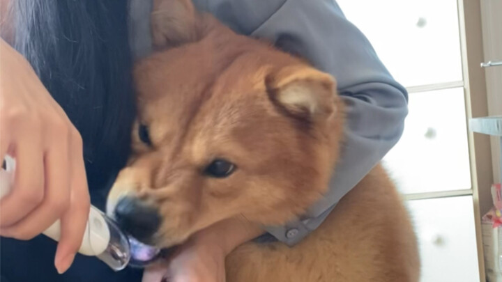 ต้าหวง: ทำไมคุณไม่ให้บัตร B ใหญ่กับผมตั้งแต่แรกเลยล่ะ?