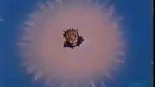 官方恶搞，贝吉塔不会说的话系列合集