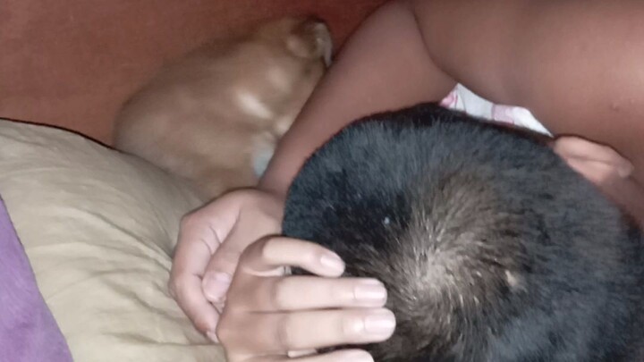 tota naming makulit😅