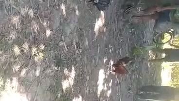 Naunahan pero panalo parin.Walang sugat