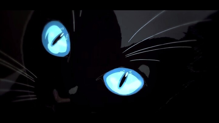 【Five You | Half Misunderstanding】 Cat