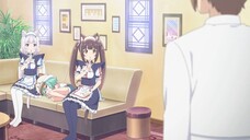 Nekopara Episode 4 English Dub