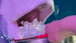 A bucket of ice is gone in an instant