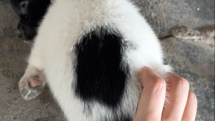 我以为她睡硬了不行了。