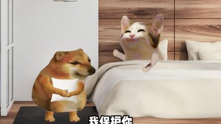 Dạo này không biết tại sao cứ hay gặp ác mộng