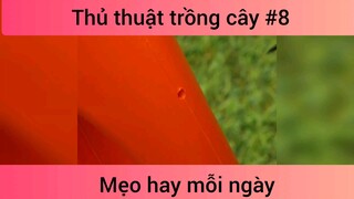Mẹo thủ thuật trồng cây p8