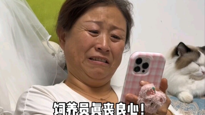 当我妈刷到了大熊猫丫丫……