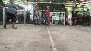 L kakabili lng namin ni insan sasabungan, makati kamay ni insan gusto makakabit ng tari 😂🐓🫡