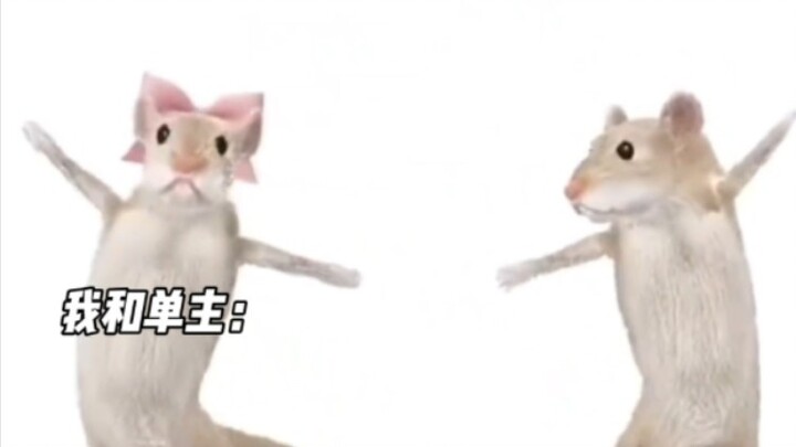 วิ่งสองทาง ~