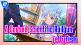 A Certain Scientific Railgun|A Certain Magical Index Season 1——jellyfish_2
