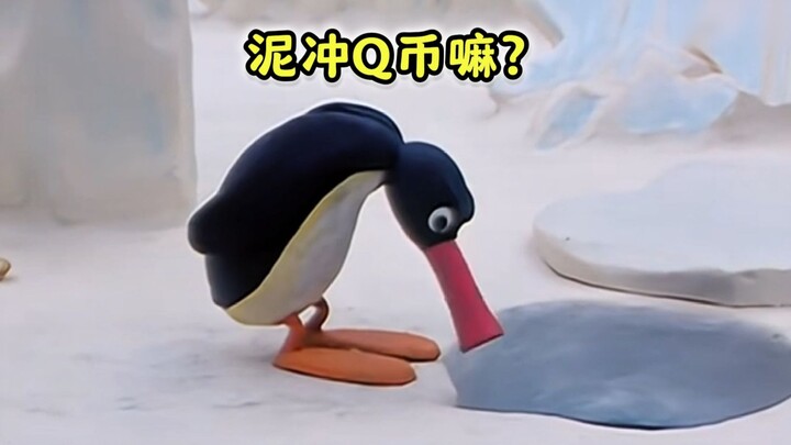 “Rare Footage of a Henan Penguin Punishing a Seal”