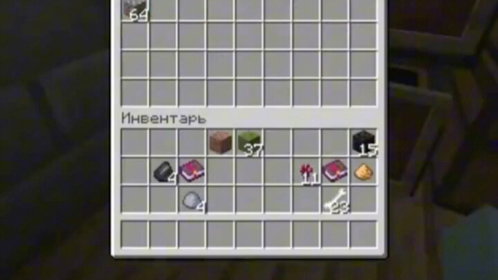 Minecraft: The Friend Who Sorted All the Chests