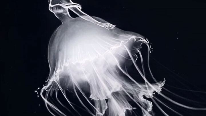 chúc các bạn xem phi vui vẻ nham