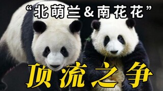 不愧顶流！五一全北京的人都跑去北京动物园看萌兰了