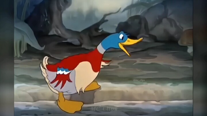 बत्तख की दुख भरी कहानी - The Ugly Duckling - Silly Symphony Walt Disney 1939