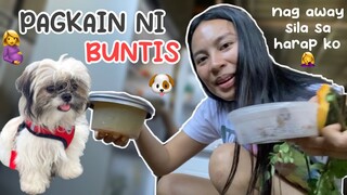 ANO BA DAPAT ANG KINAKAIN NG BUNTIS NA SHIH TZU | PAGKAIN NG BUNTIS NA SHIH TZU | BUGBUGAN 🤦‍♀️