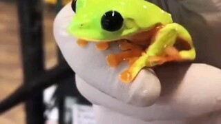 เขาพุ่งชนเข้าไปในหัวใจของฉันทันที