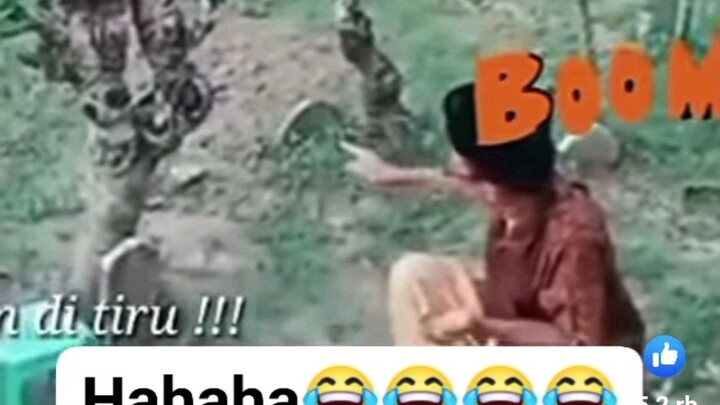 tolol