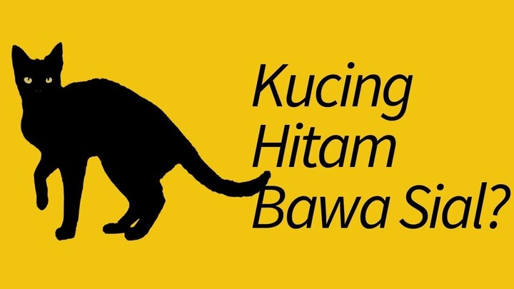 Kucing Hitam Membawa Sial?? Fakta dan Mitos Kucing Hitam!