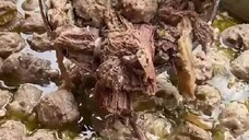 bakso