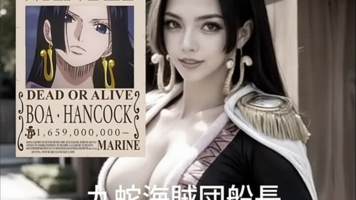 王下七武海真人版-海贼王