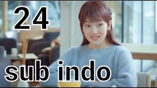 Accidentally in Love episode 24 sub indo