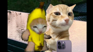 男女生外出旅行的区别