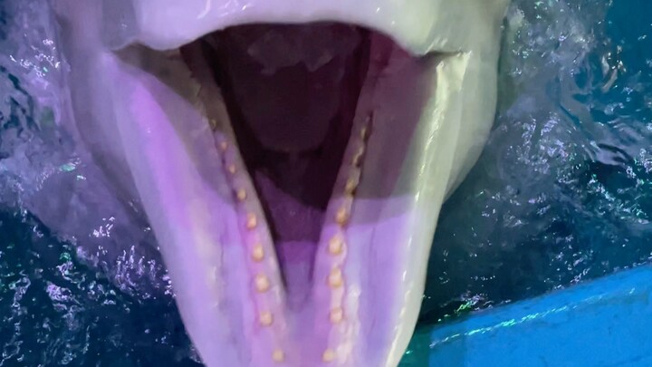 กินน้ำแข็งให้สนุกสุดๆ 😂